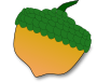 acorn